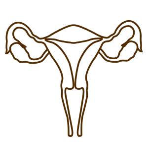 Gynecology