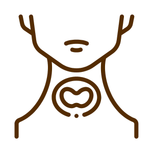 Thyroid
